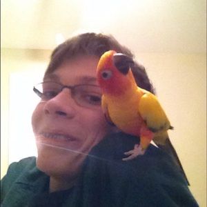 Meet your Posher, John